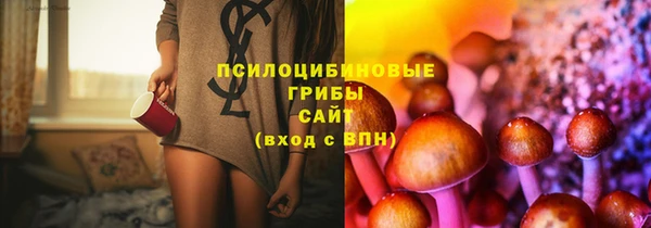 a pvp Белоозёрский