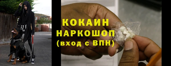 apvp Белокуриха