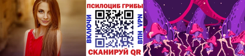 Псилоцибиновые грибы Cubensis  Купить где  Балабаново 